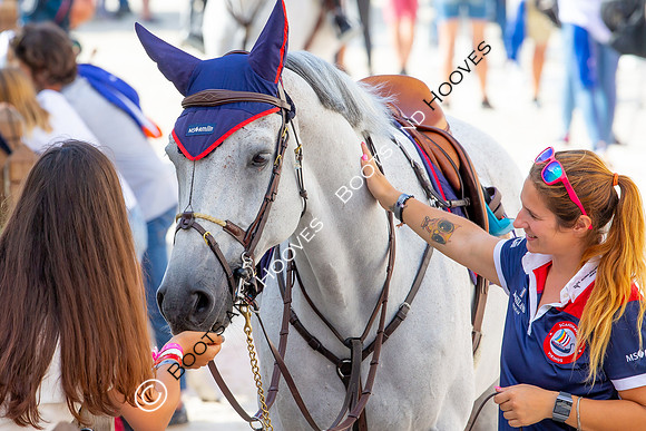 Showjumping