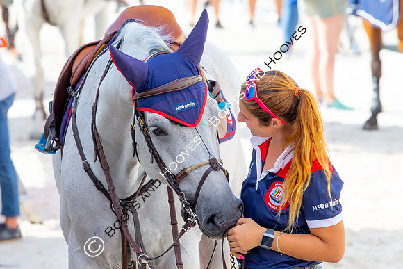 Showjumping