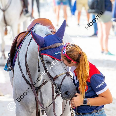 Showjumping