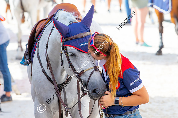 Showjumping
