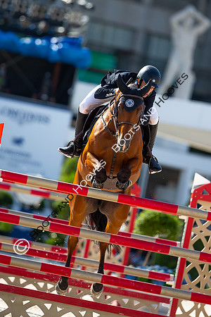 Showjumping