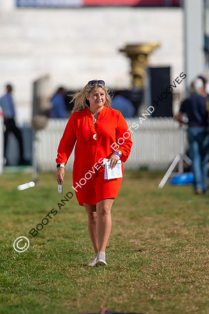Showjumping