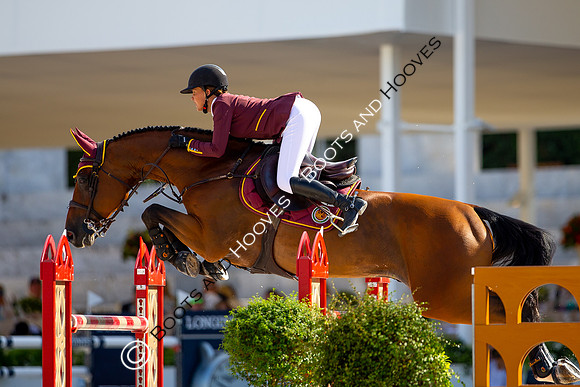 Showjumping