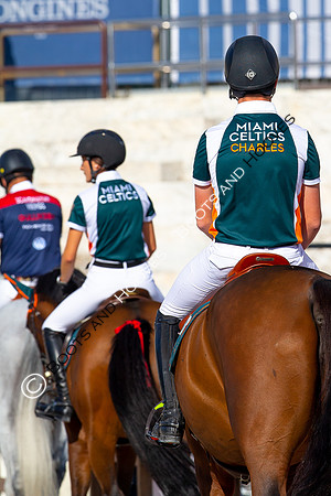 Showjumping
