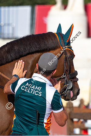 Showjumping