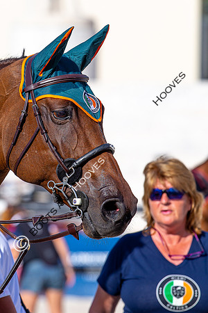 Showjumping