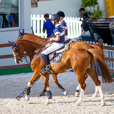 Showjumping