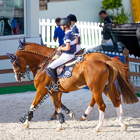 Showjumping