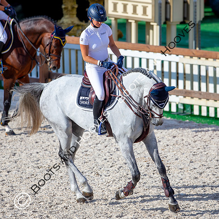 Showjumping