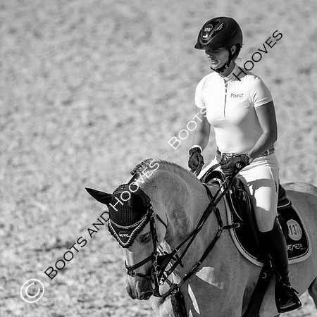 Showjumping