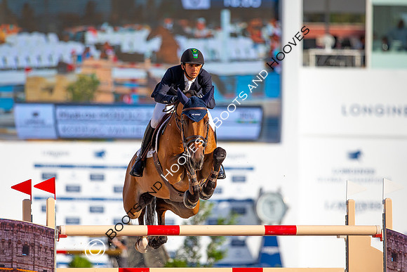Showjumping