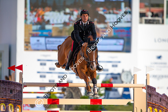 Showjumping