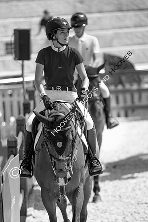 Showjumping