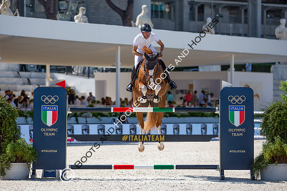 Showjumping