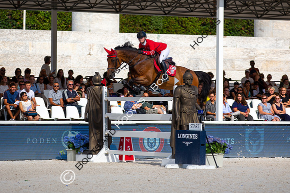 Showjumping