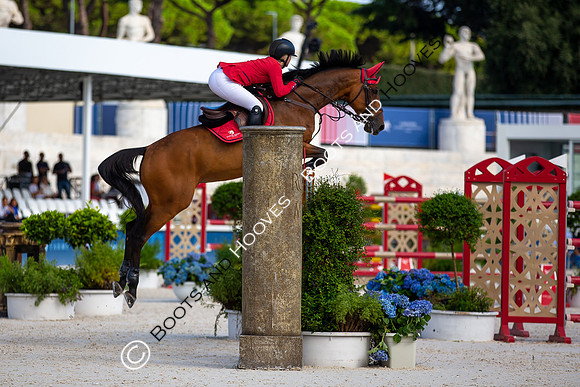 Showjumping