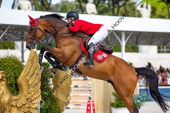 Showjumping