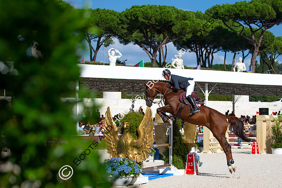 Showjumping