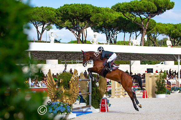 Showjumping