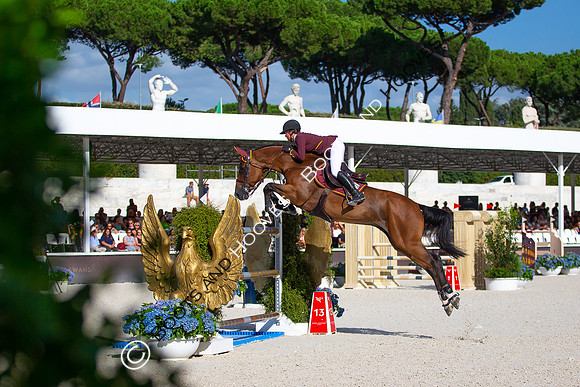 Showjumping