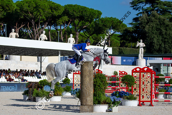 Showjumping