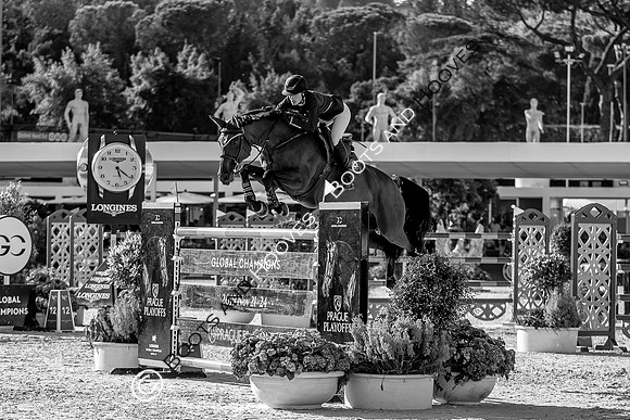 Showjumping