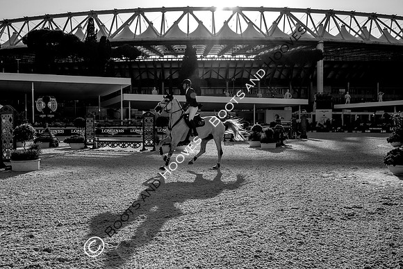Showjumping