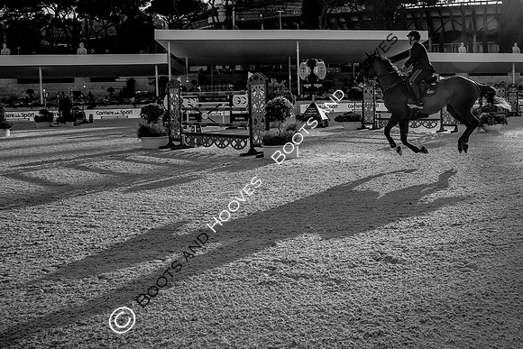 Showjumping