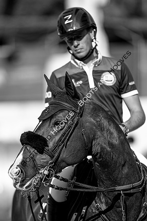 Showjumping