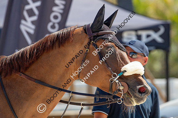 FEI Junior European Championship Young Riders, Juniors & Childre