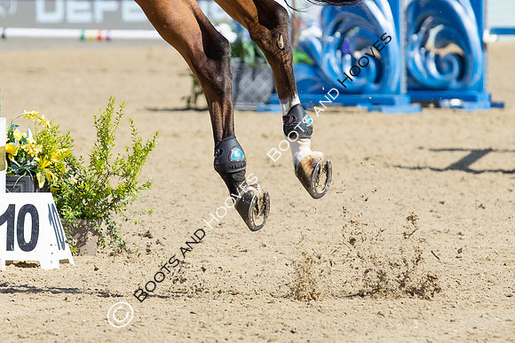 Royal Windsor Horse Show