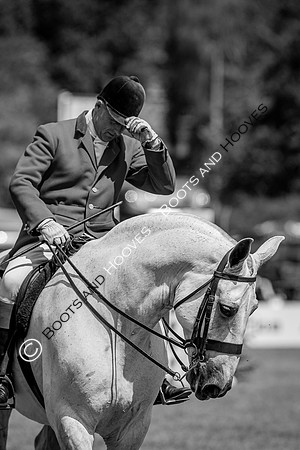 The AGRIA Royal International Horse Show