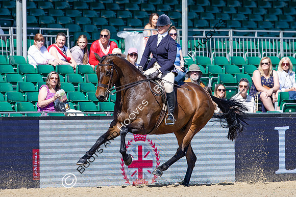 Royal Windsor Horse Show