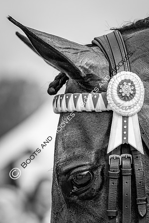The Royal International Horse Show