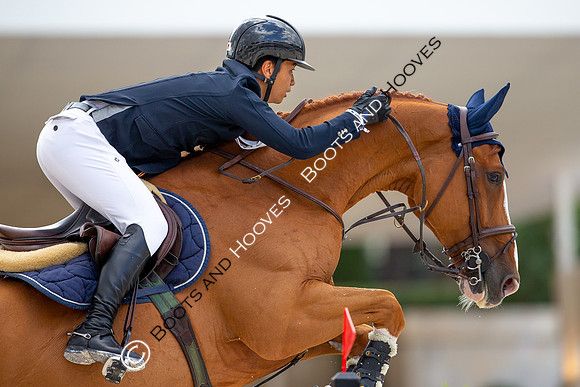 Showjumping