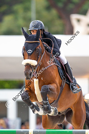 Showjumping