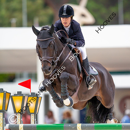 Showjumping
