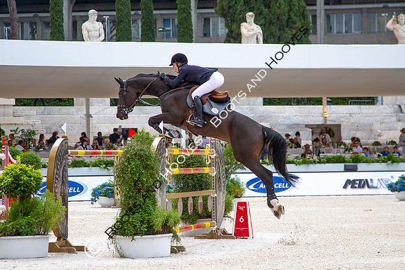 Showjumping