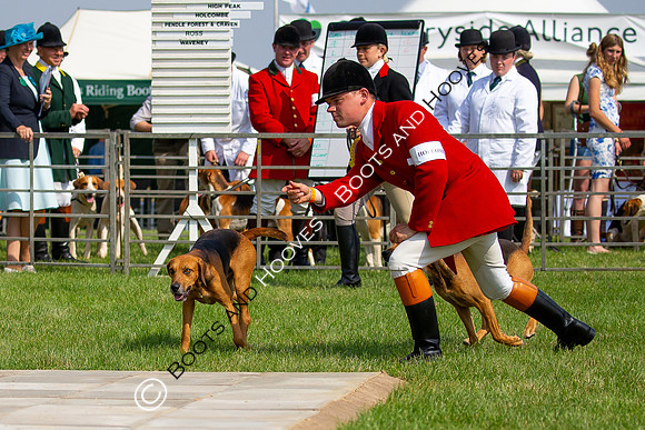 Festival of Hunting