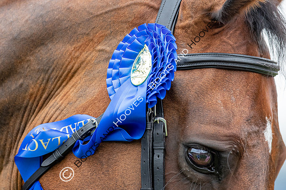 The Prenetics Royal International Horse Show