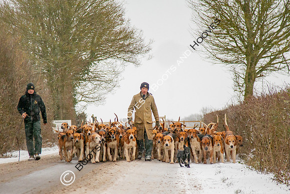 Hound Exercise