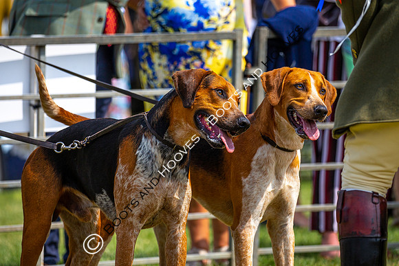 Festival of Hunting
