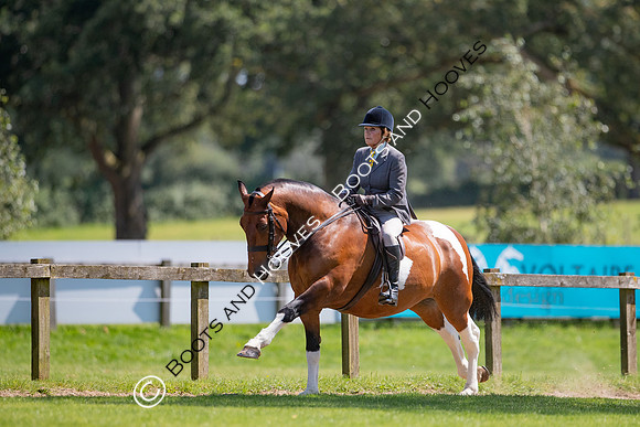 The Prenetics Royal International Horse Show