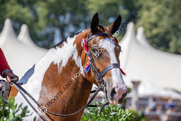 Royal Windsor Horse Show