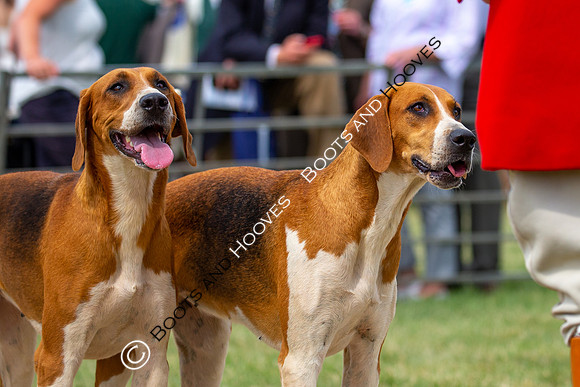 Festival of Hunting