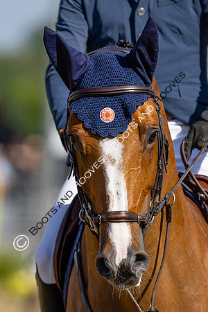 Royal Windsor Horse Show