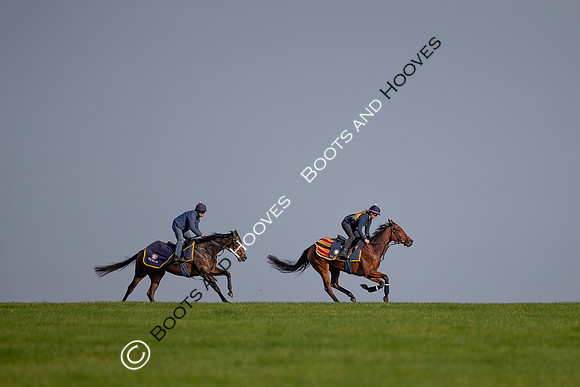 Newmarket