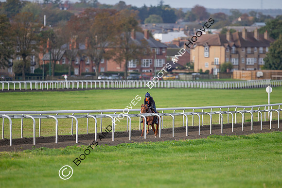 Newmarket