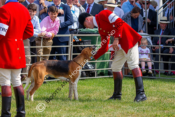 Festival of Hunting