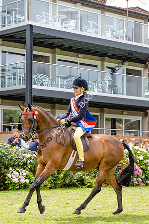 The Agria Royal International Horse Show